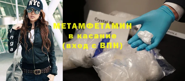 прущие грибы Алексин