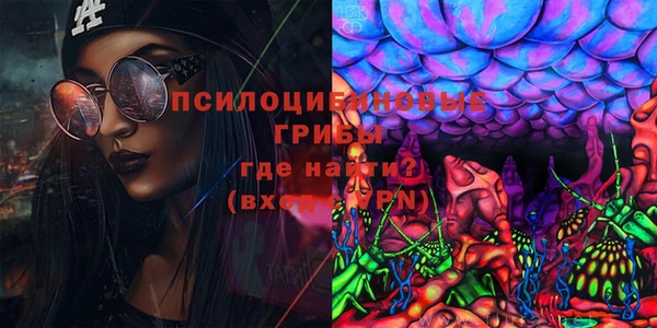 тгк Алзамай
