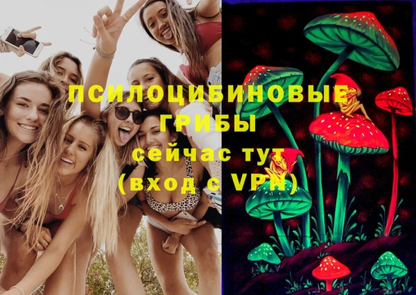 дмт Данков