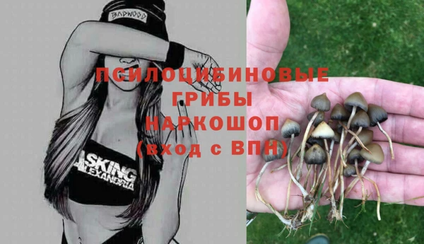 тгк Алзамай