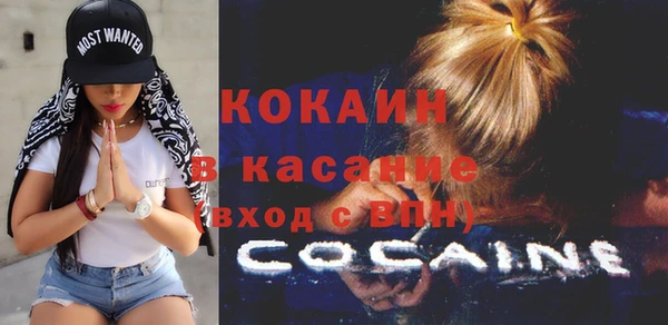 тгк Алзамай