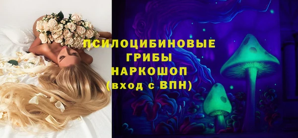 тгк Алзамай
