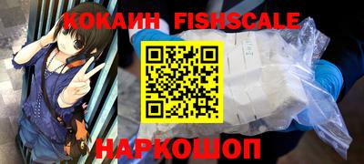 крисы Краснодар