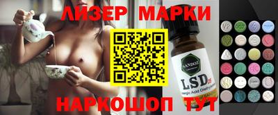 крисы Краснодар