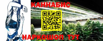 крисы Краснодар