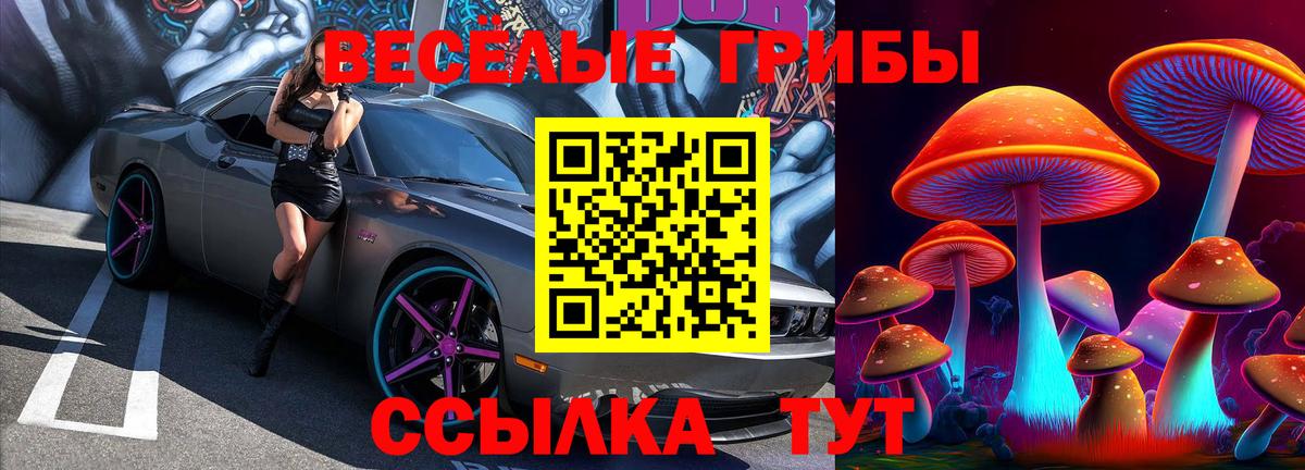 Галлюциногенные грибы мицелий  Вход с VPN  Клин  Псилоцибиновые грибы прущие грибы 